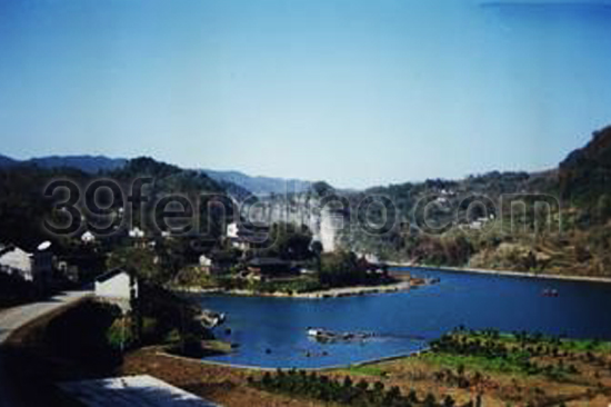 桑植縣舉辦蜜蜂養殖實用技術培訓班 推動政策引進助力產業發展