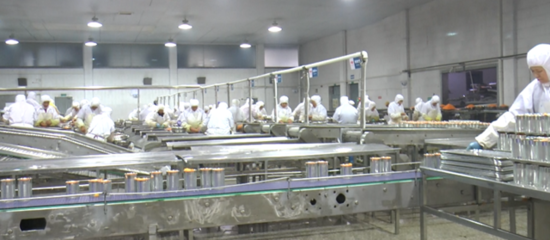 宜昌嘉源食品引進政策解析 助推企業高質量發展